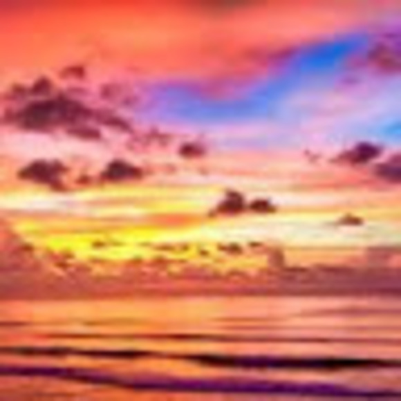 Meet your Posher, Maia - Picture 1 of 1